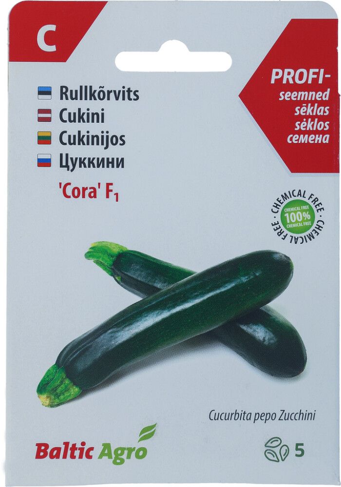 Rullkõrvits Baltic Agro ‘Cora’ F1