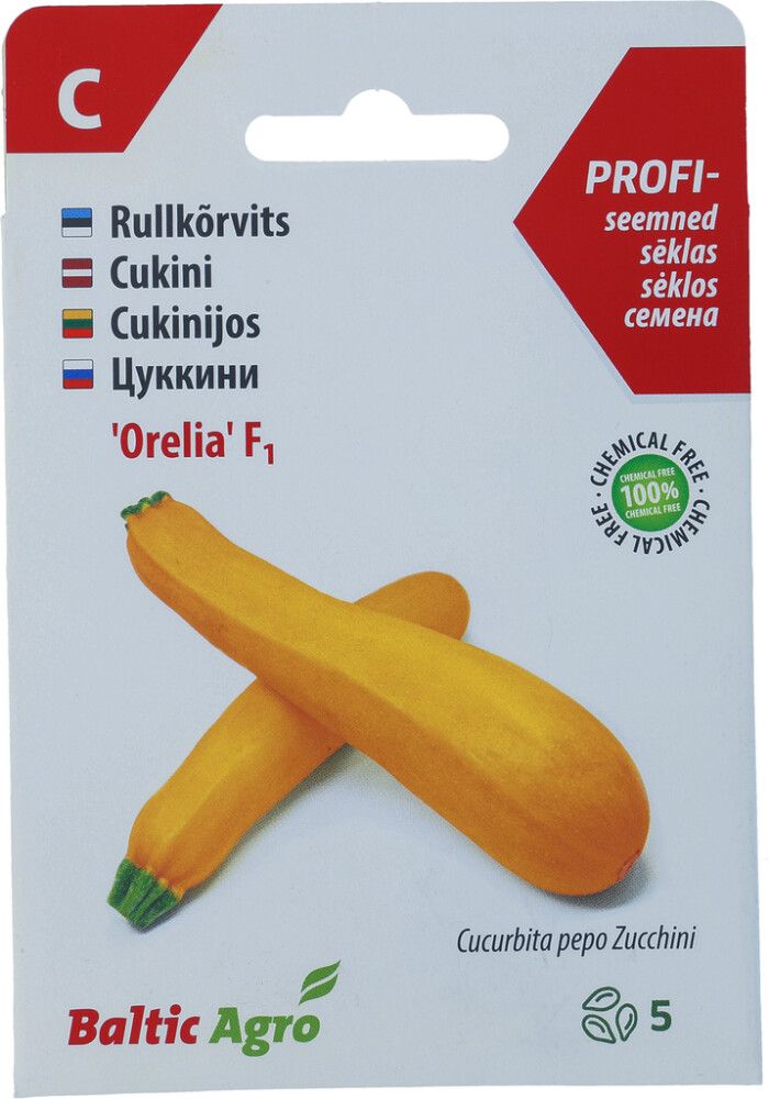 Rullkõrvits Baltic Agro ‘Orelia’ F1