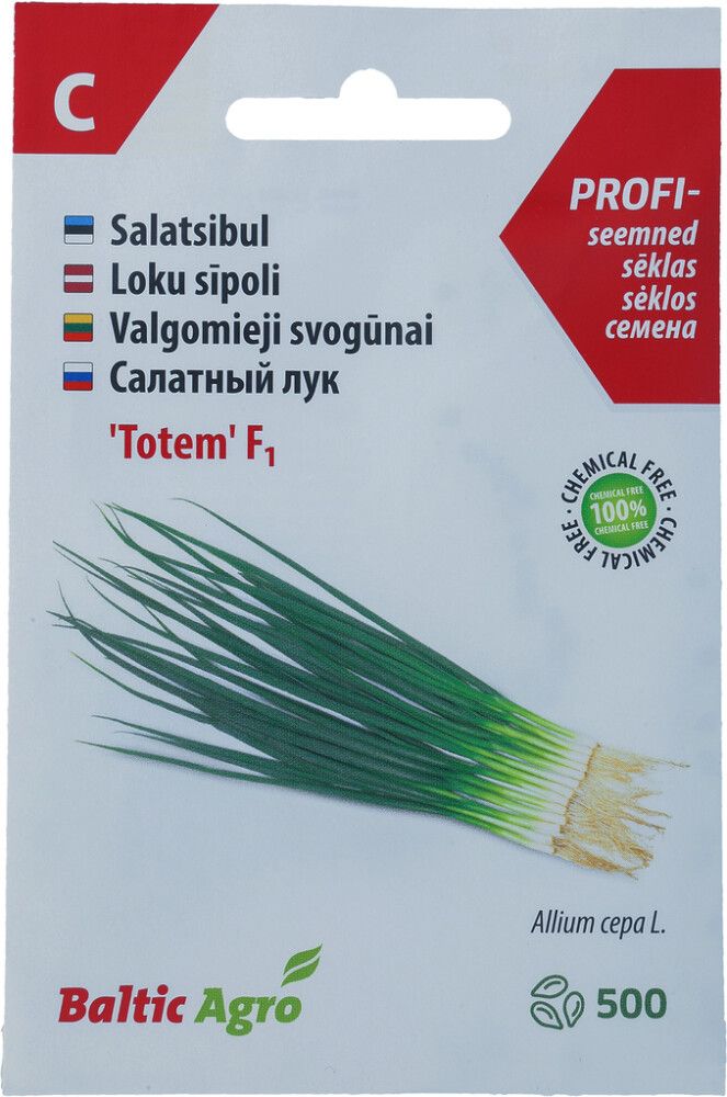 Salatsibul Baltic Agro ‘Totem’
