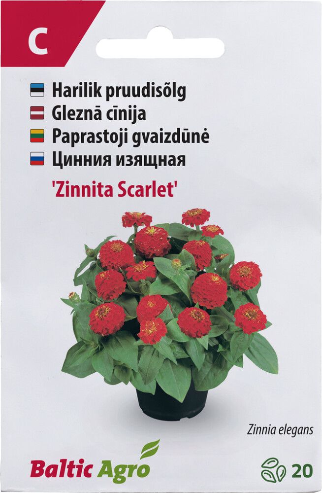 Pruudisõlg Baltic Agro ‘Zinnita Scarlet’