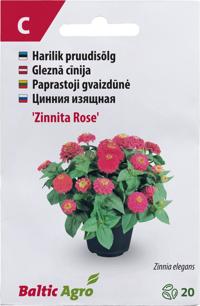 Pruudisõlg ‘Zinnita Rose’