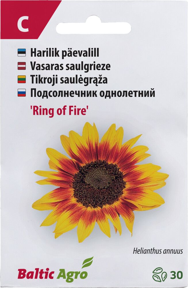 Päevalill ‘Ring of Fire’