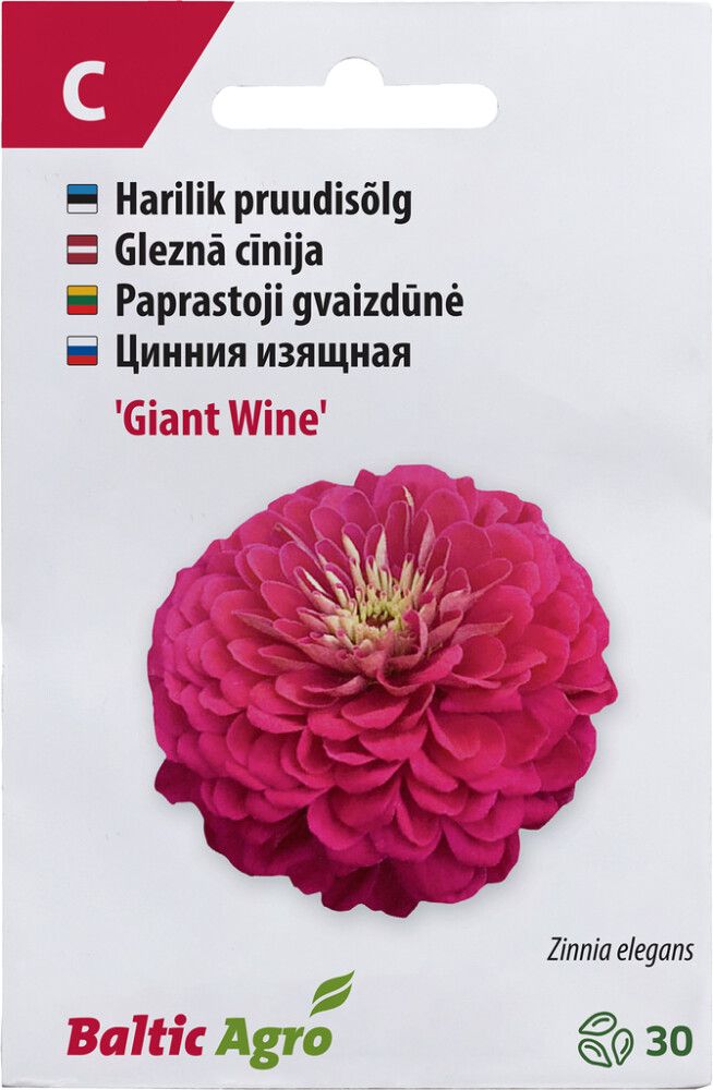 Pruudisõlg ‘Giant Wine’