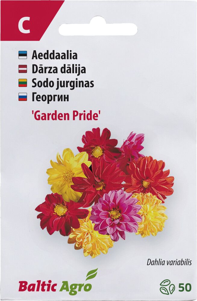 Daalia ‘Garden Pride’