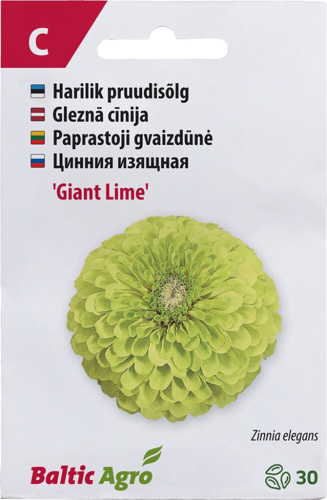 Pruudisõlg ‘Giant Lime’