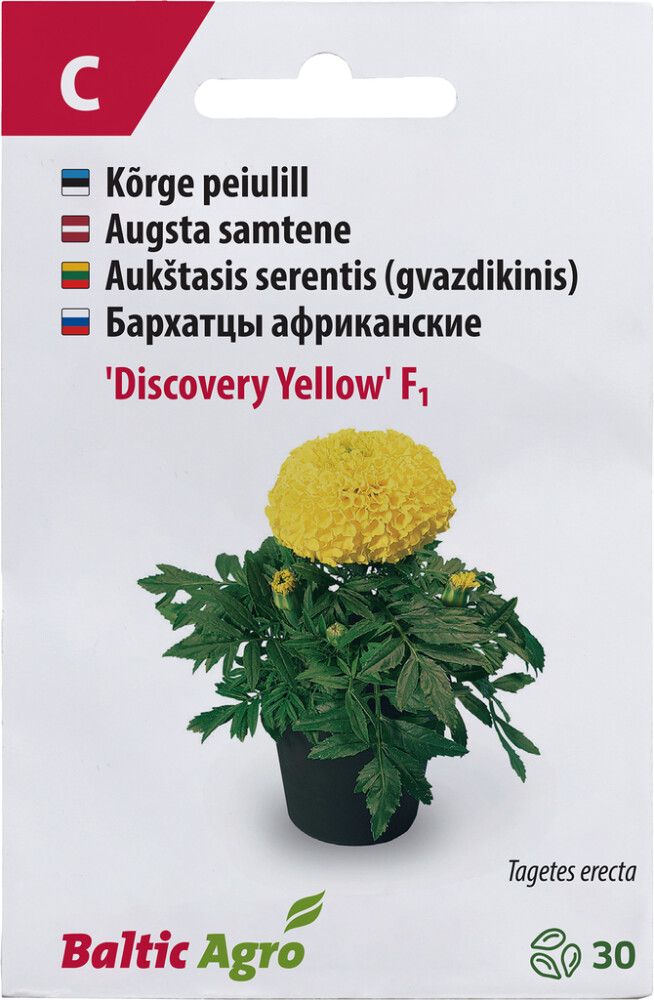 Peiulill ‘Discovery Yellow’