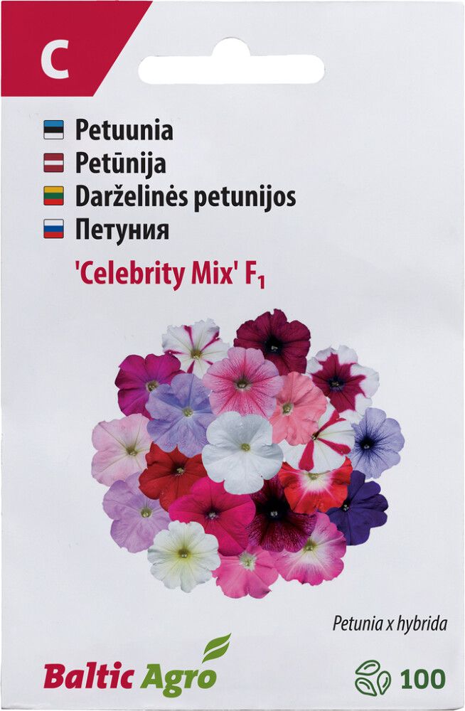 Petuunia ‘Celebrity Mix’