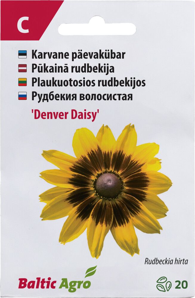 Päevakübar ‘Denver Daisy’