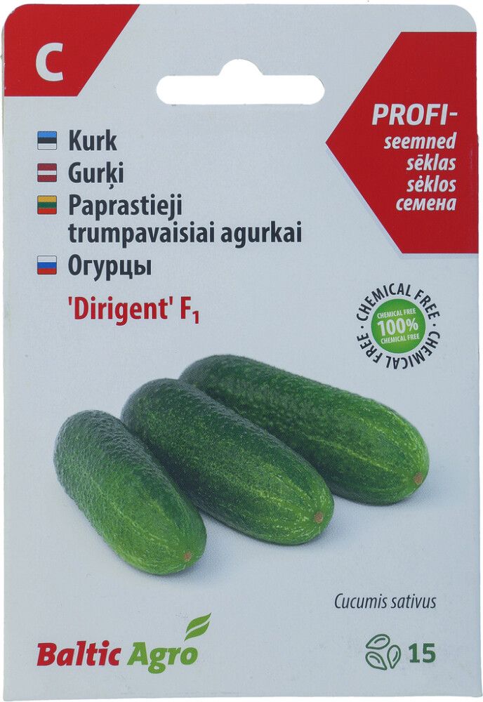 Kurk ‘Dirigent’ F1