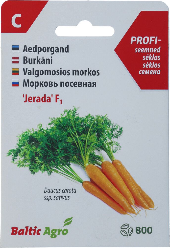 Porgand ‘Jerada’ F1