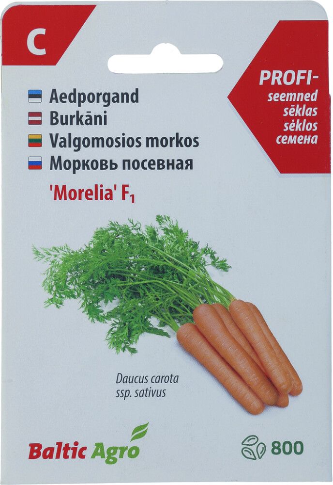 Porgand ‘Morelia’ F1