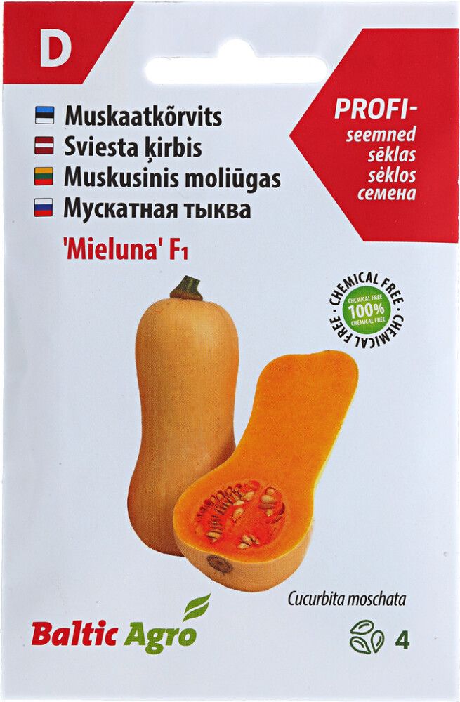 Muskaatkõrvits ‘Mieluna’ F1