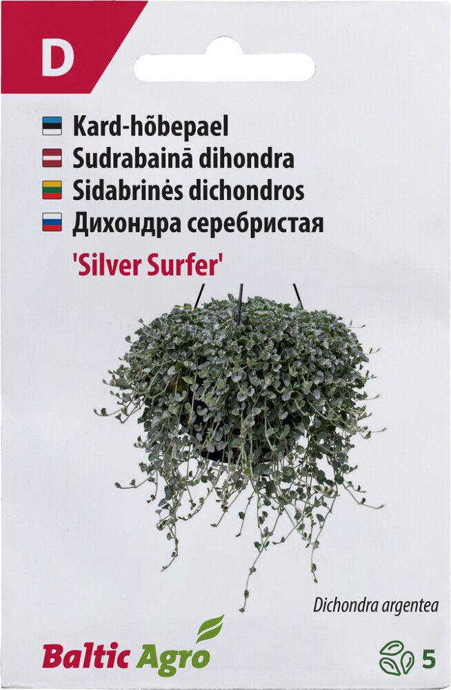 Hõbepael ‘Silver Surfer’