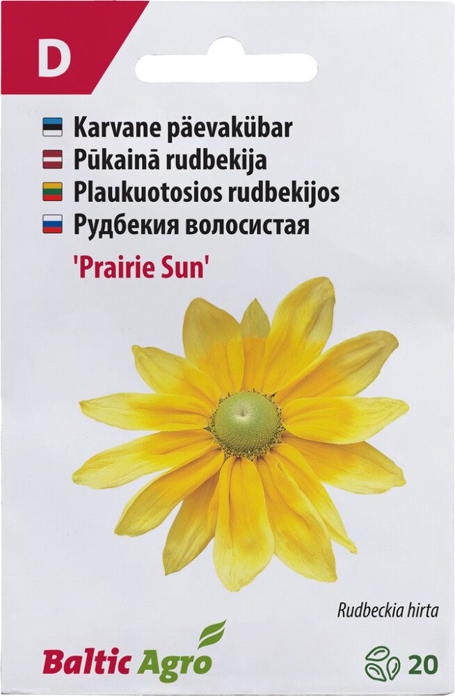 Päevakübar ‘Prairie Sun’