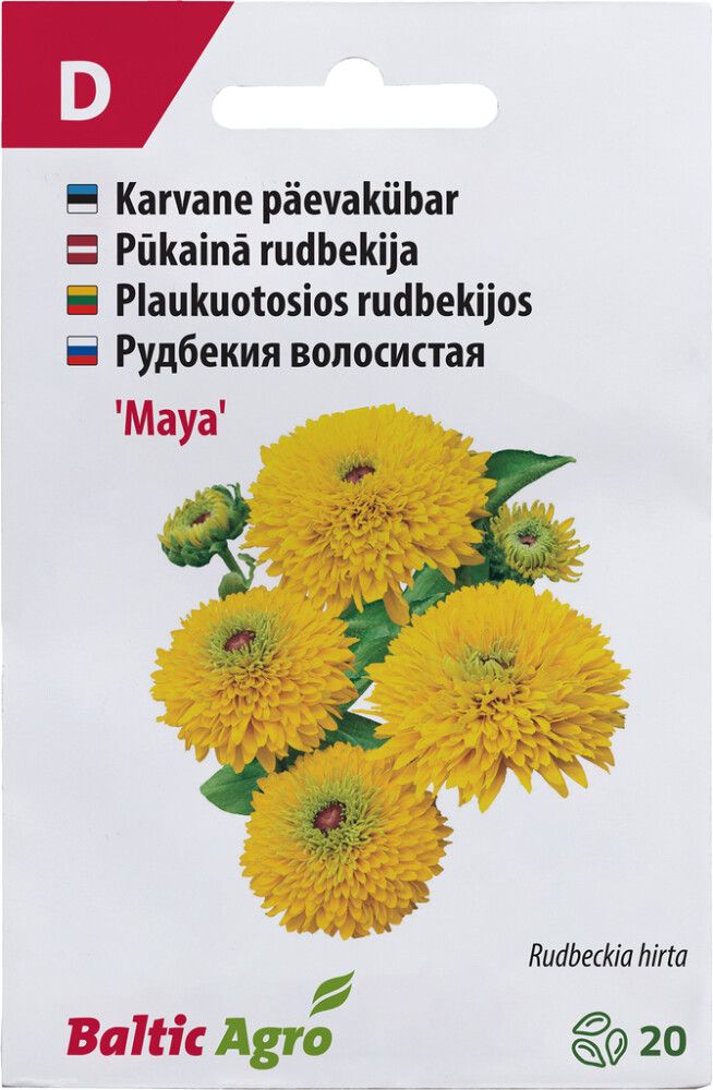 Päevakübar ‘Maya’