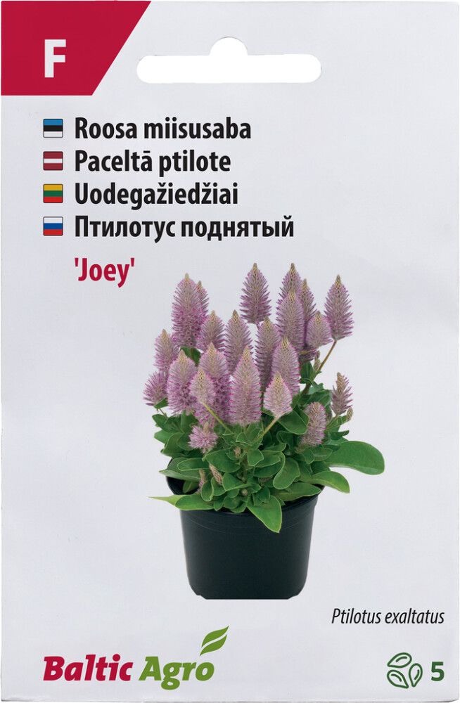 Miisusaba Baltic Agro ‘Joey’