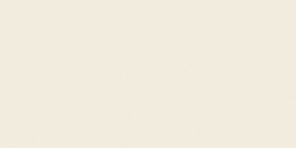 Seinaplaat Palazzo Soft Sand 30 x 60 cm Matt