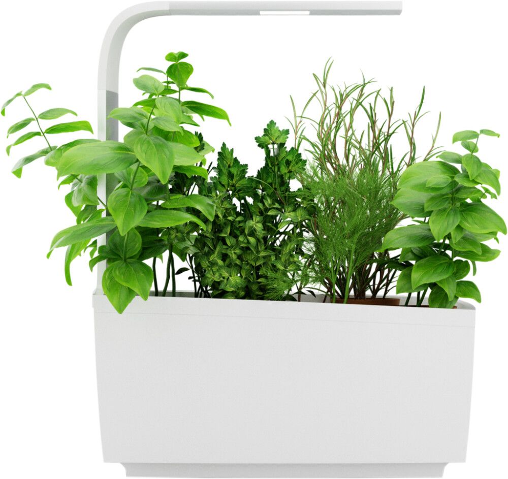 Nutikas Lillepott Tregen T6, valge