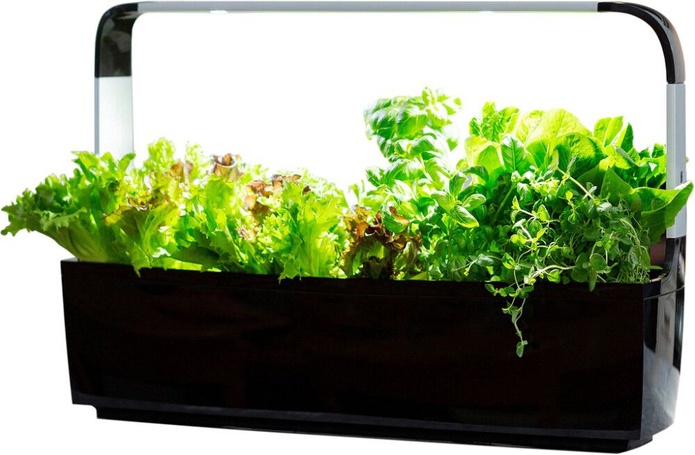 Nutikas Lillepott Tregen T12, must