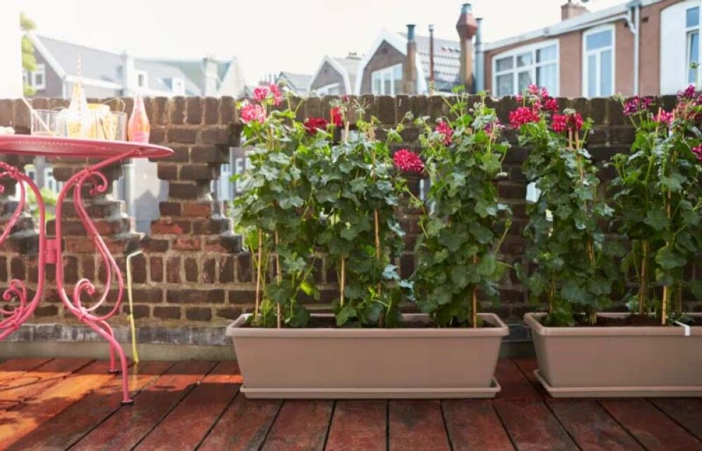 Rõdukast Barcelona XL 60 cm, pruun