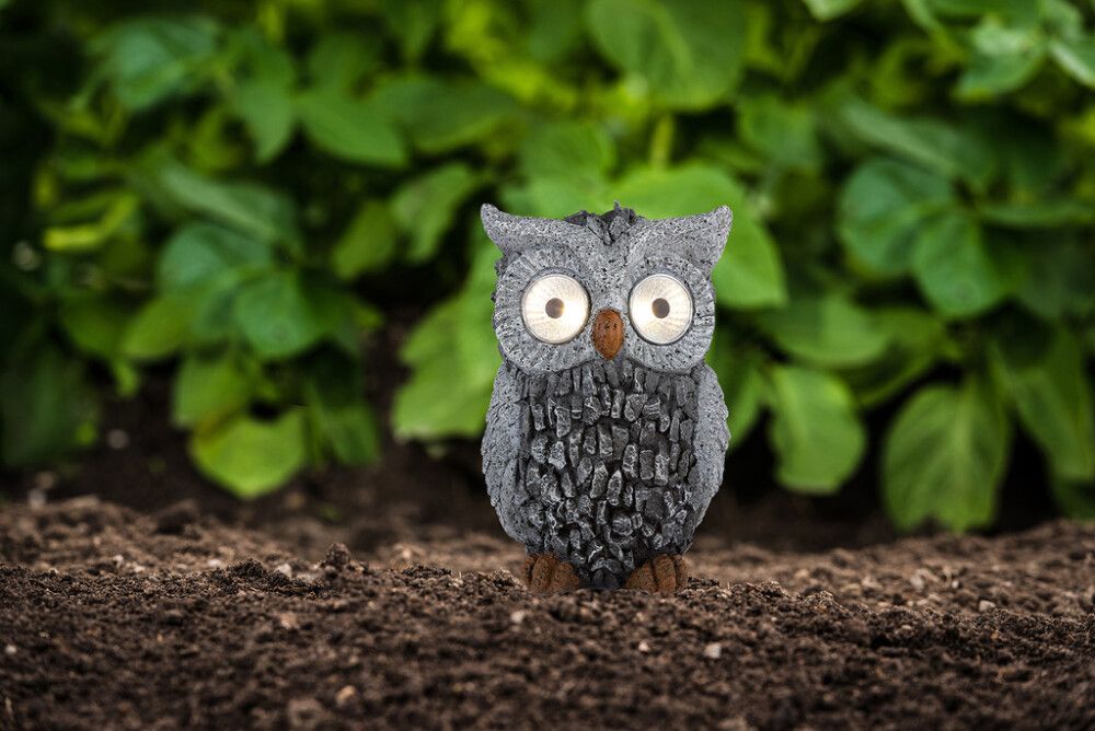 Solarvalgusti Globo Öökull