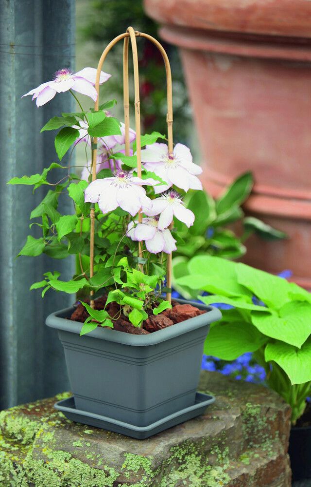 Lillepott Nora 33 x 33 cm, hall