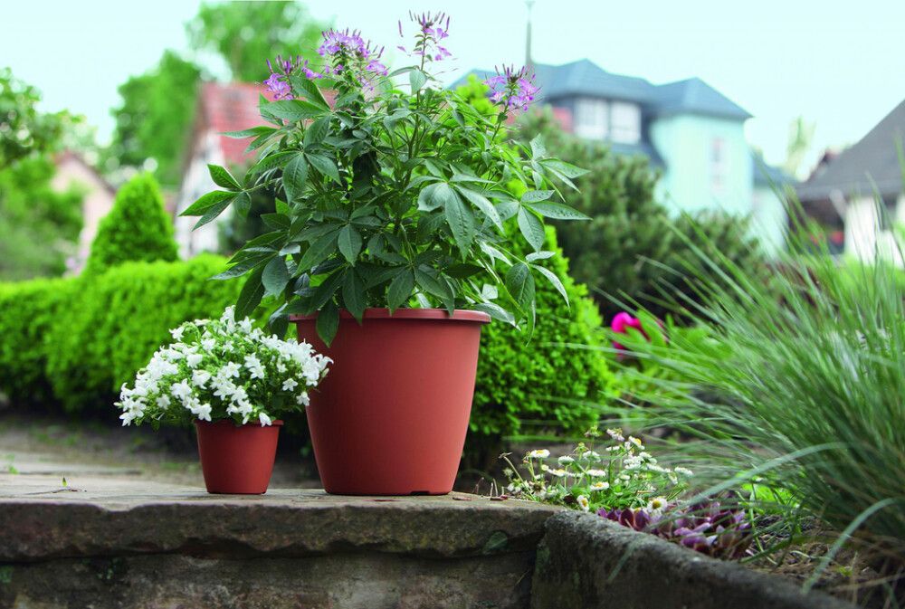 Istutuspott Nevada 12 cm