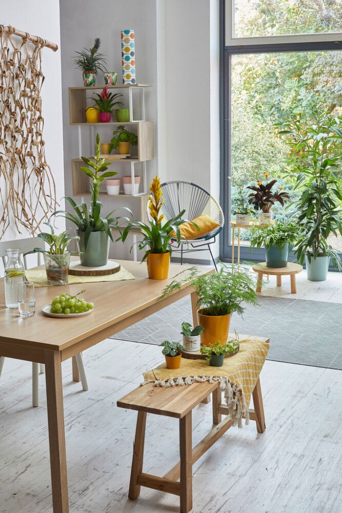 Ümbrispott Dallas Breeze Ø 12 cm, sinepikollane