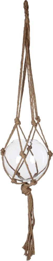 Rippuv klaasist terraarium