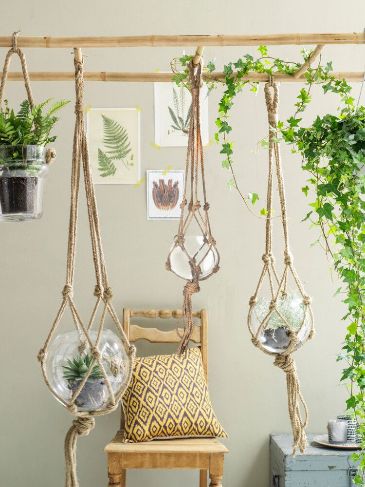 Rippuv klaasist terraarium