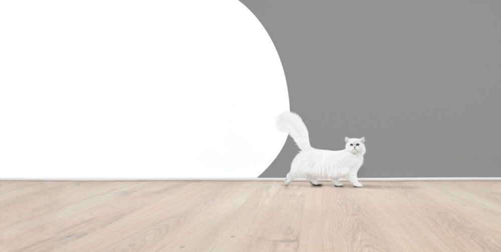 Sisevärv Alpinaweiss Das Original 1 l, matt