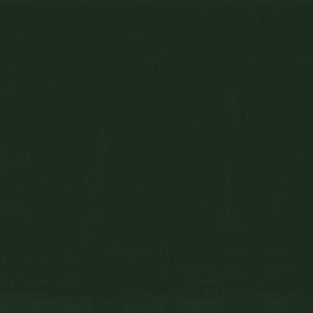 Metallivärv Alpina Direkt Auf Rost 300 ml, roheline läikiv