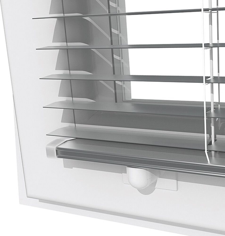 Magnethoidik ribakardinale