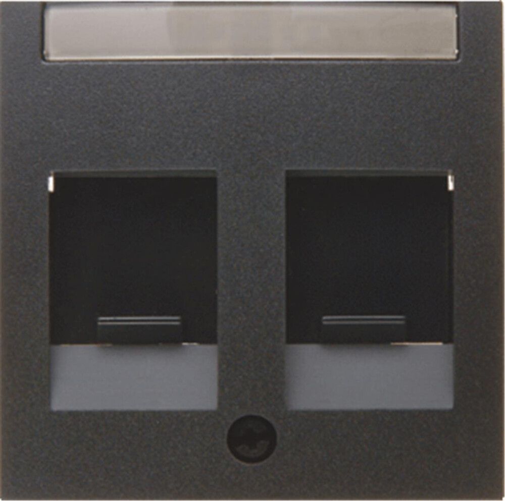 Telefon-arvutipesa keskplaat Berker S1 must 2-ne