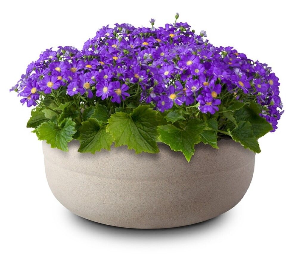 Betoonist aiavaas 051 Ø 35 cm, hall