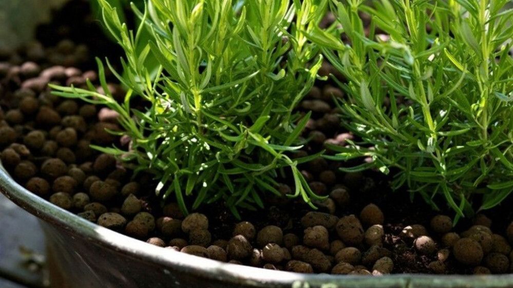 Kergkruus Leca 50 l, S 2 - 4 mm