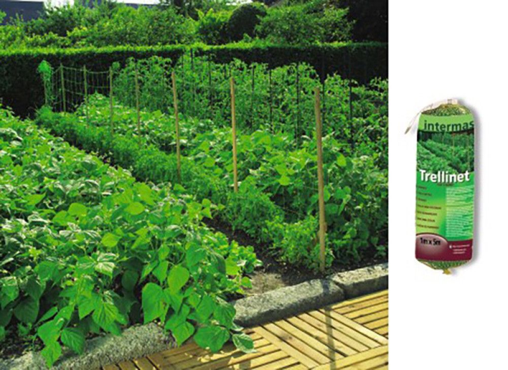 Toestusvõrk Trellinet 1,7 x 5 m