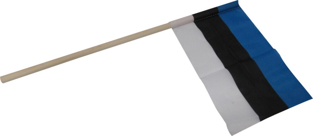 Käsilipp 16 x 10 cm