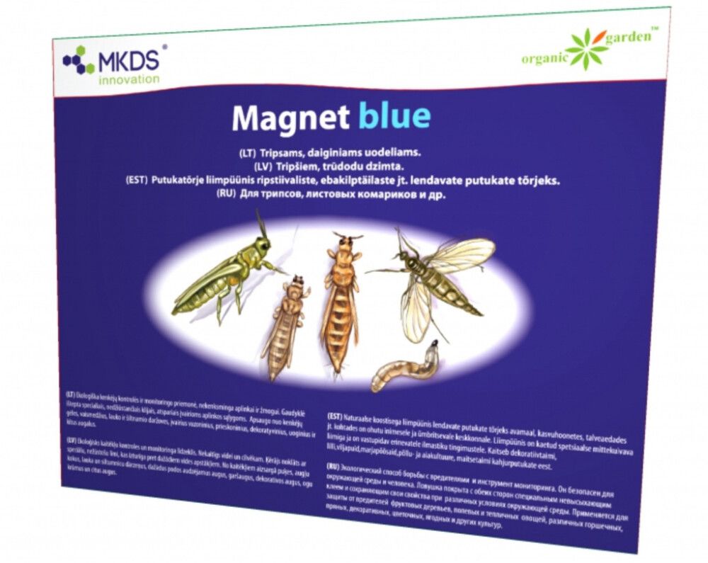 Magnet blue liimpüünis