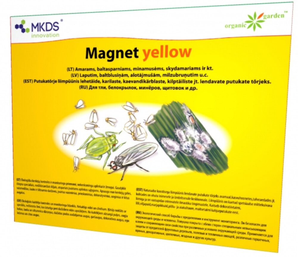Magnet yellow liimpüünis