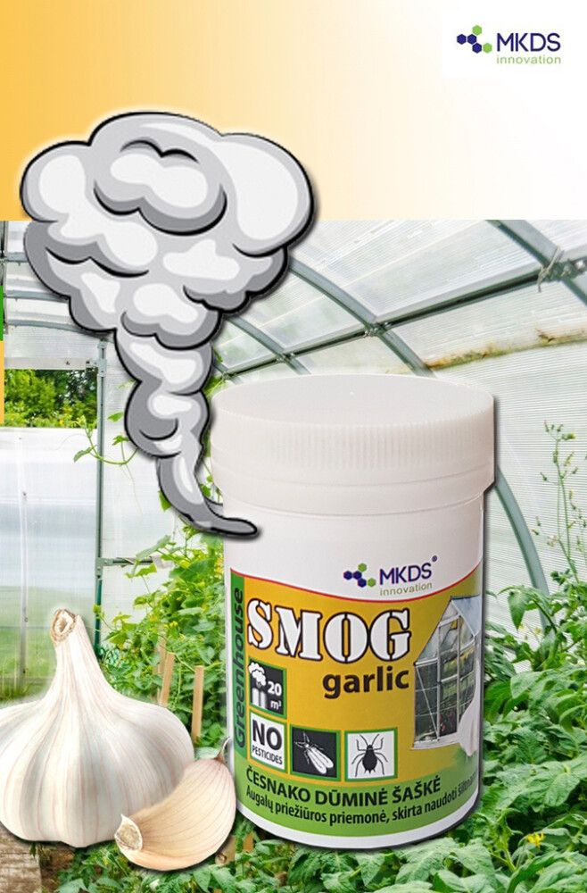 Suitsuküünal SMOG garlic