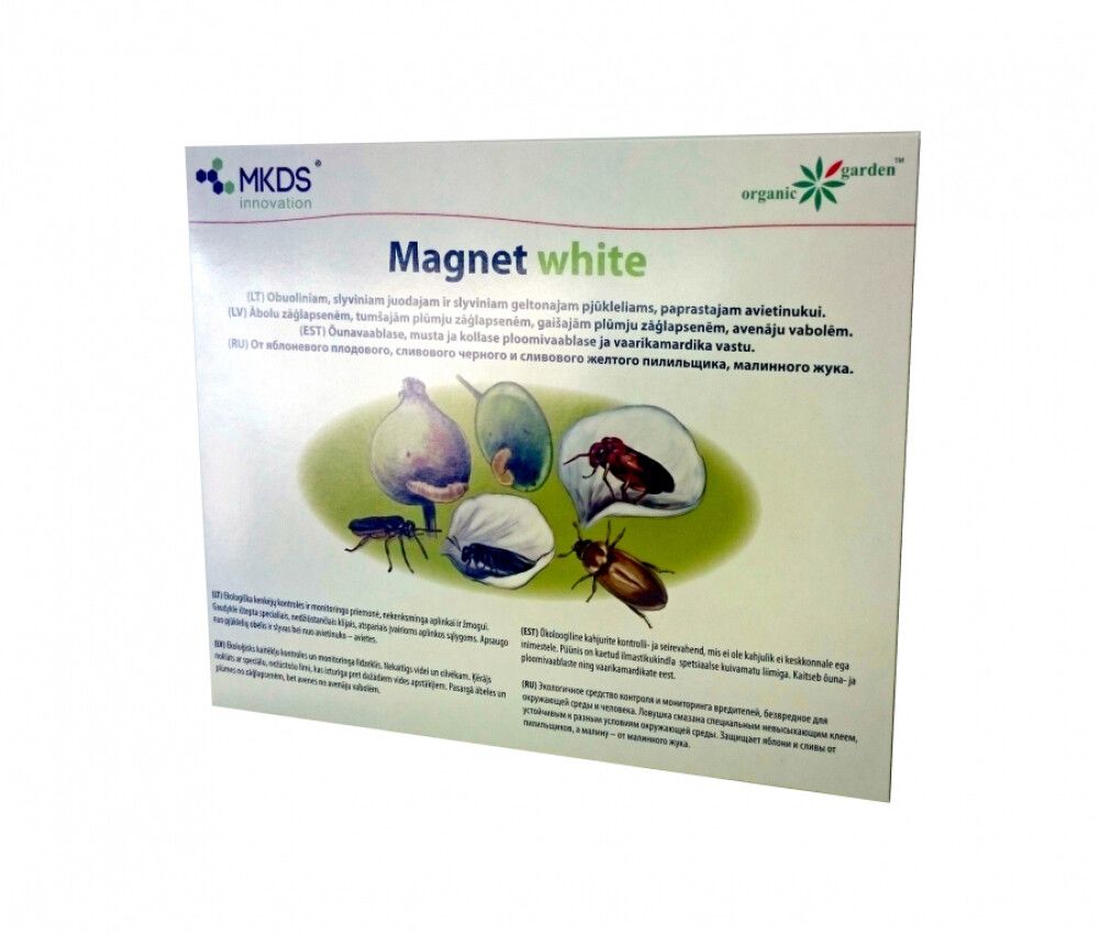 Liimpüünis Holding Invest Magnet white 1 tk