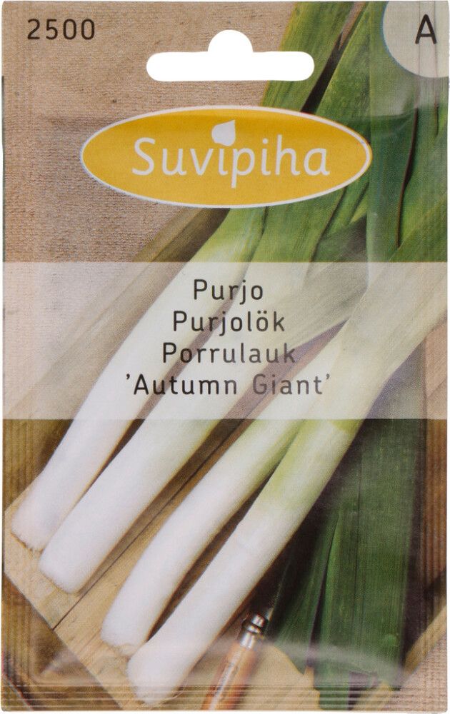 Porrulauk Autumn Giant Suvipiha 1g