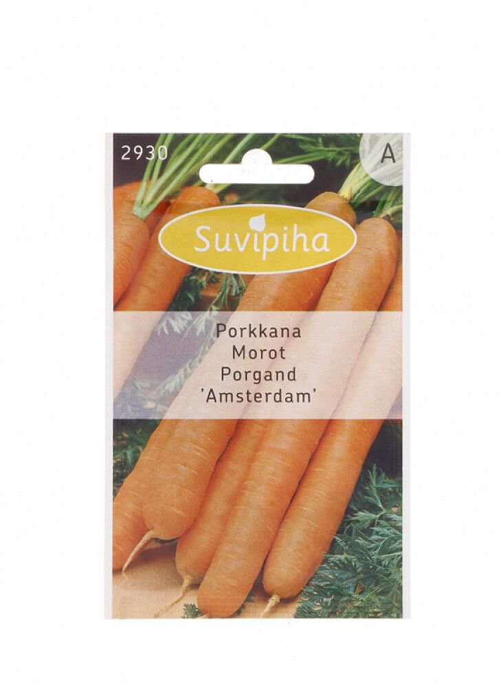 Porgand Amsterdam Suvipiha 2,5g