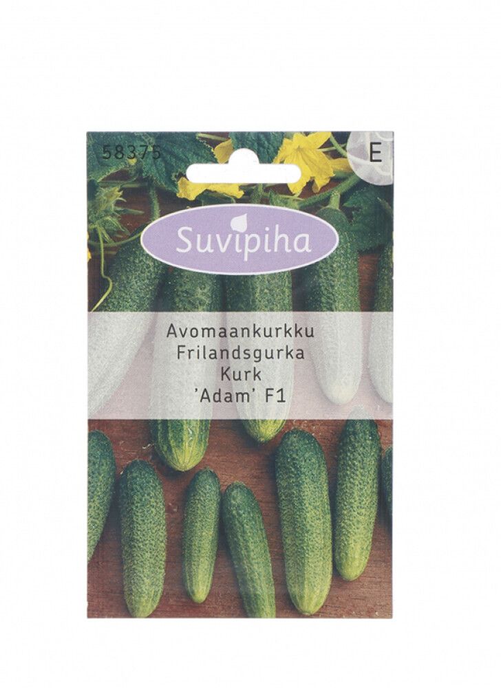 Avamaakurk Suvipiha Adam F1, 10 seemet