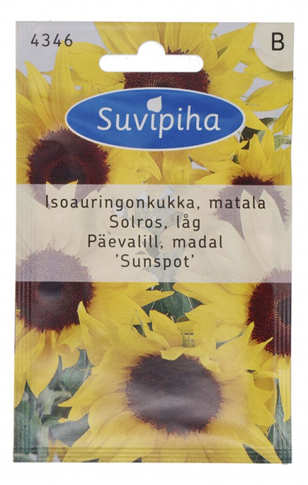 Päevalill Sunspot Suvipiha 2 g