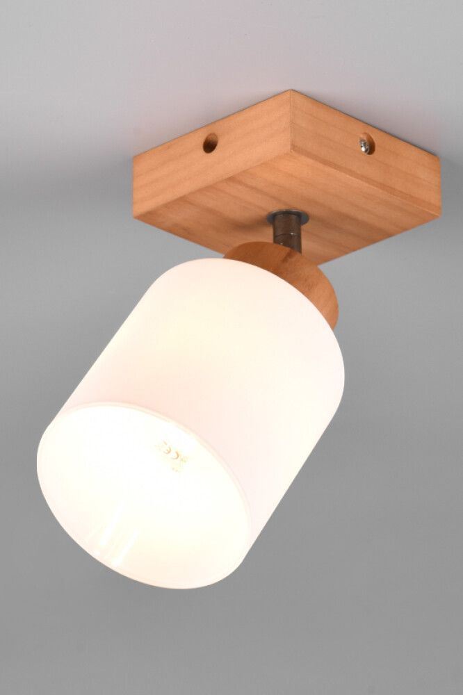 Väikepilt 2