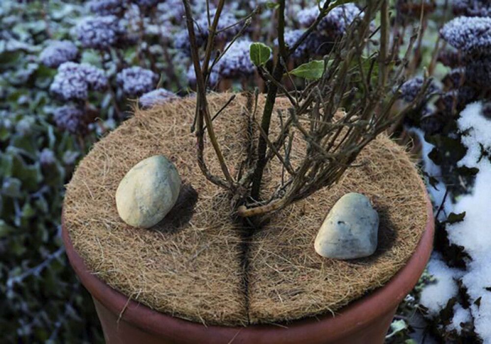 Taimekaitsematt 2 tk