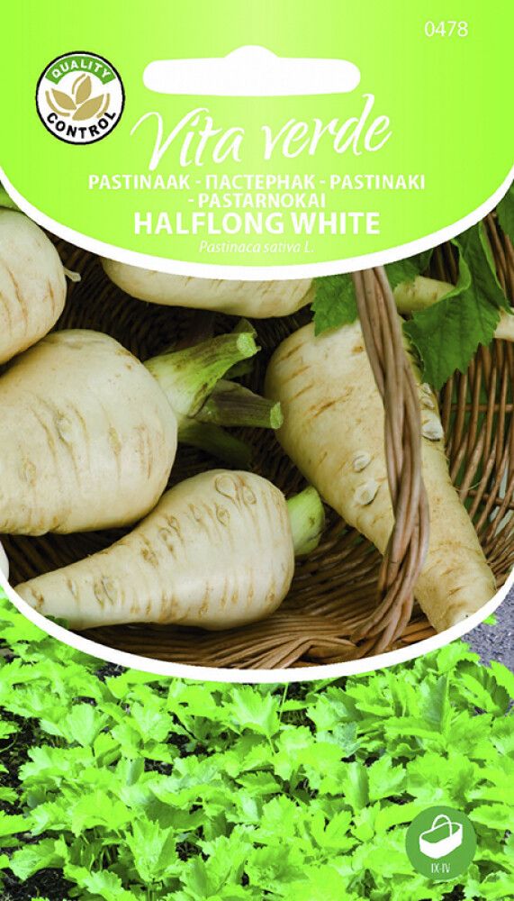 PASTINAAK HALFLONG WHITE
