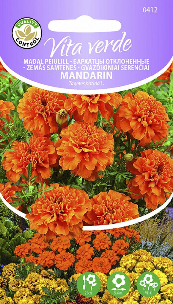 Madal peiulill Mandarin